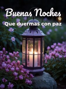 Te deseo buenas noches para descargar gratis