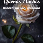buenas noches dulces sueños, mi amor