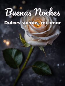Textos de amor de buenas noches