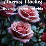 buenas noches buenas noches, mi vida