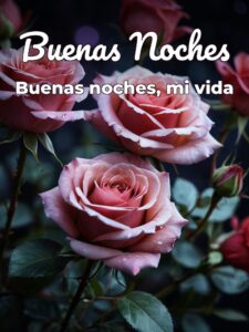 Textos de buenas noches para mi novia