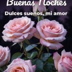 buenas noches dulces sueños, mi amor