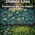 buenos días empieza tu día con alegría