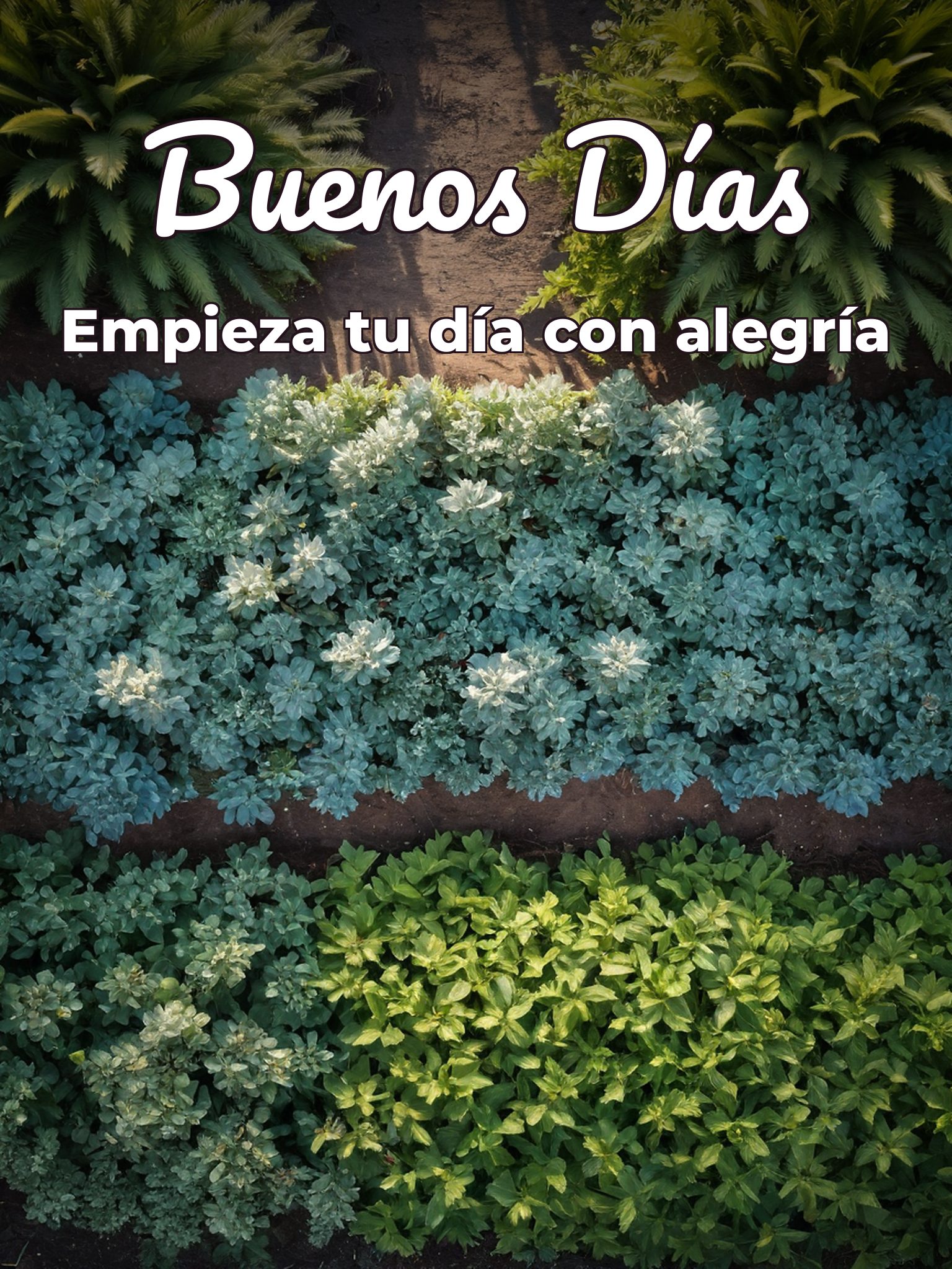 Toda imagen de buenos días para descargar