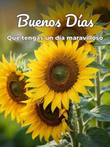 Todo imágenes mensajitos de buenos días