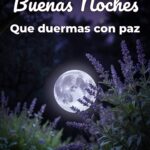 buenas noches que duermas con paz