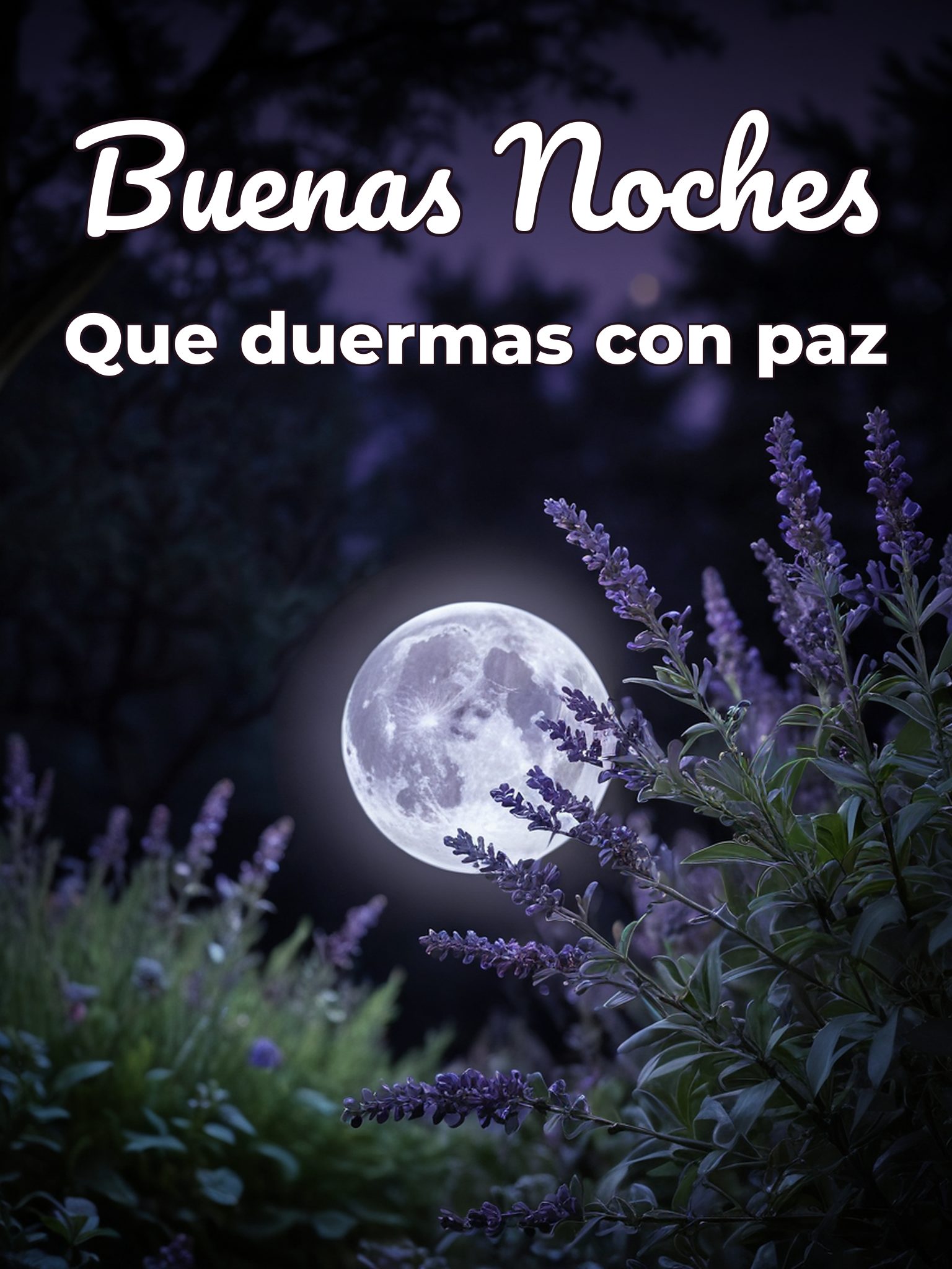 Todo imágenes para desear buenas noches