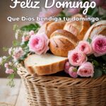 feliz domingo que dios bendiga tu domingo