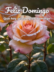Un buen domingo para todos para celular