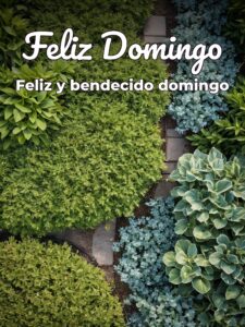 Un buen domingo para WhatsApp