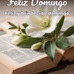 feliz domingo feliz y bendecido domingo