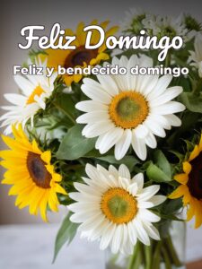 Un feliz domingo para WhatsApp