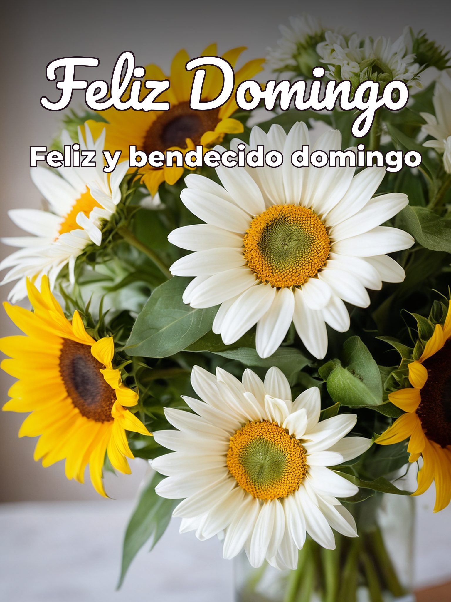 Un feliz domingo para WhatsApp