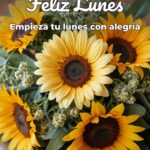 feliz lunes empieza tu lunes con alegría