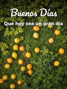 Un lindo mensaje de buenos días para celular