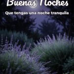 buenas noches que tengas una noche tranquila