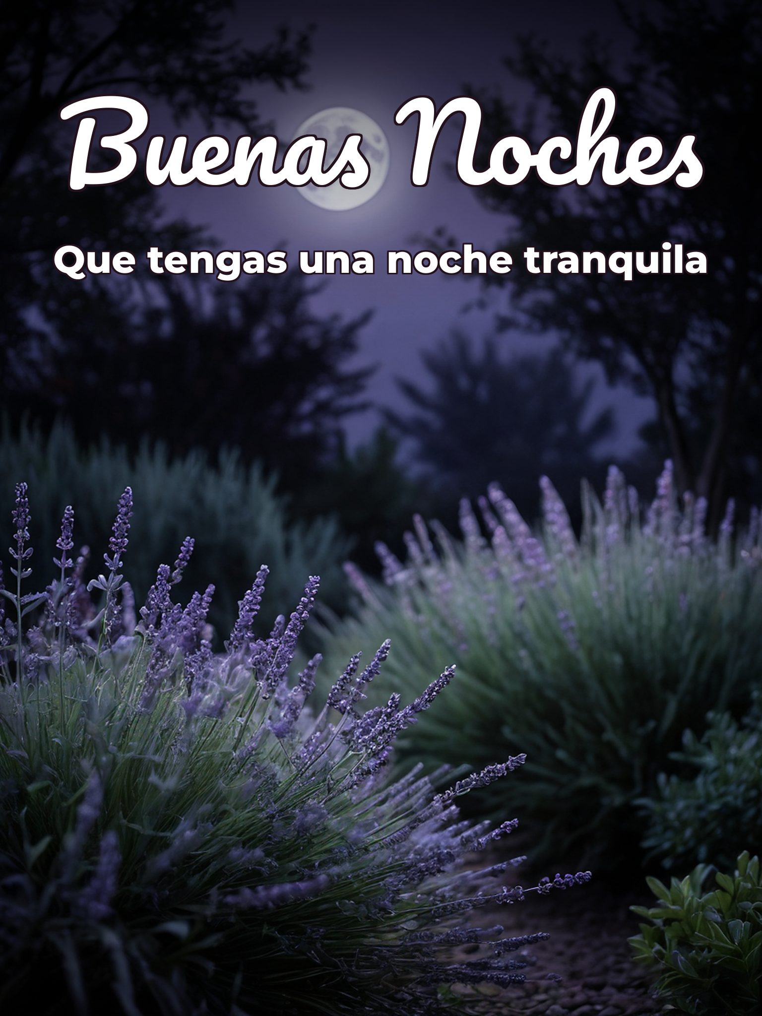 Un mensaje bonito de buenas noches para Facebook