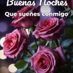 buenas noches que sueñes conmigo