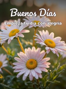 Una frase bonita de buenos días para celular