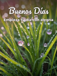 Una frase bonita de buenos días para WhatsApp