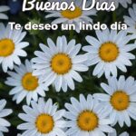 buenos días te deseo un lindo día