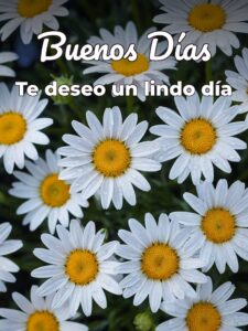 Una imagen de buenos días para celular