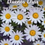 buenos días que tengas un día maravilloso