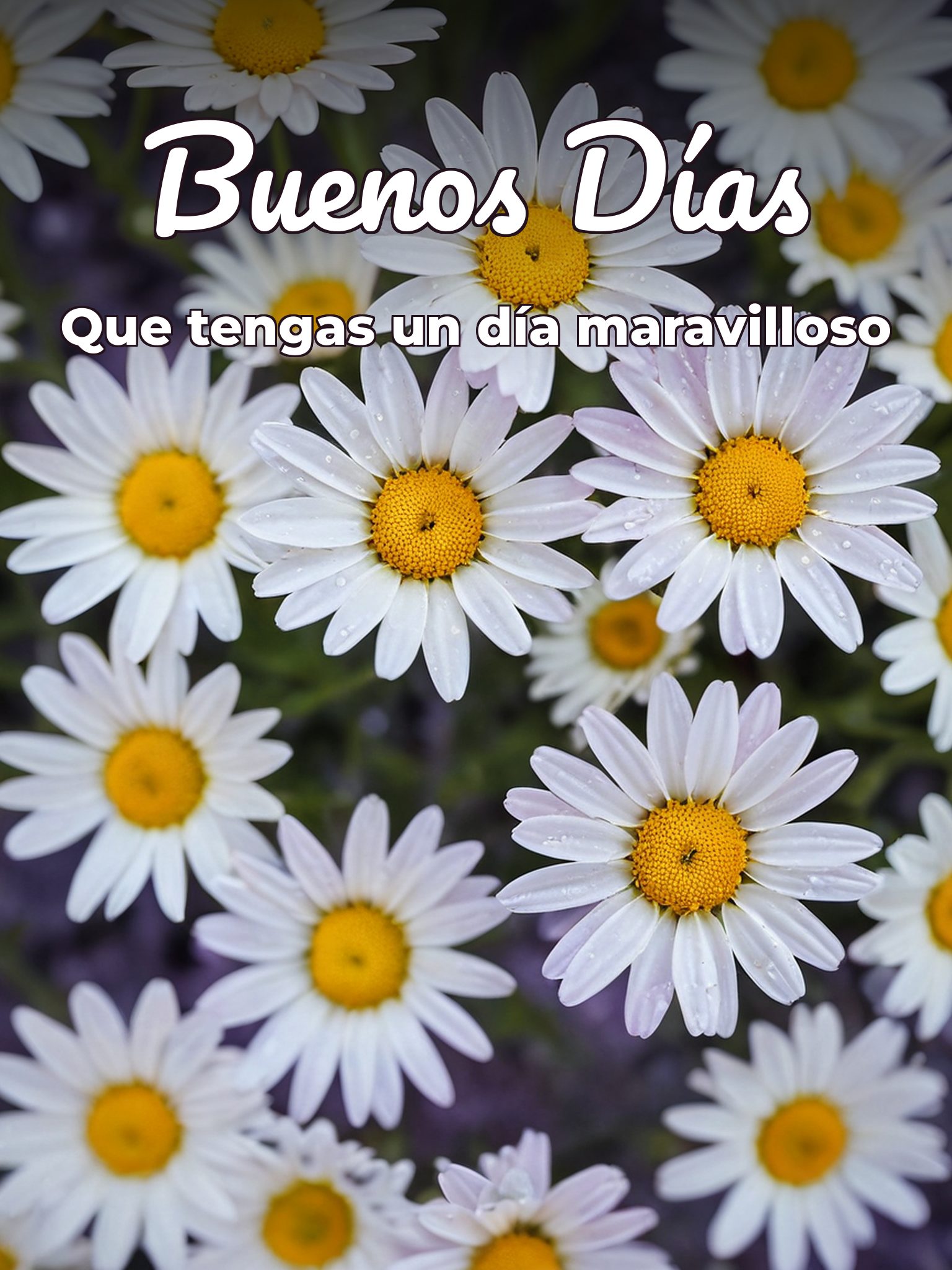 Una imagen de buenos días para WhatsApp