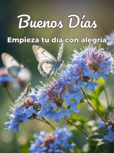 Ver frases de buenos días para descargar