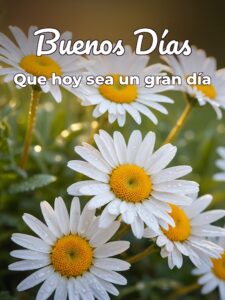 Ver imágenes bonitas de buenos días para descargar