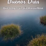 buenos días que tengas un día maravilloso