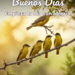 buenos días empieza tu día con alegría
