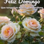 feliz domingo que tengas un domingo maravilloso