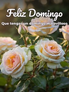 Ver imágenes de feliz domingo para celular