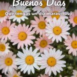buenos días que tengas un día maravilloso