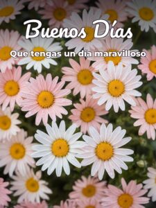 Ver mensajes de buenos días para Facebook