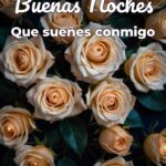 buenas noches que sueñes conmigo