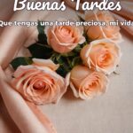 buenas tardes que tengas una tarde preciosa, mi vida