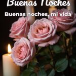 buenas noches buenas noches, mi vida