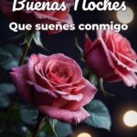 buenas noches que sueñes conmigo