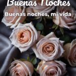 buenas noches buenas noches, mi vida