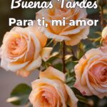 buenas tardes para ti, mi amor