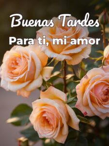 Versos de buenas tardes para enamorar para Facebook y WhatsApp