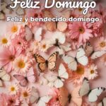 feliz domingo feliz y bendecido domingo