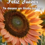 feliz jueves te deseo un lindo jueves